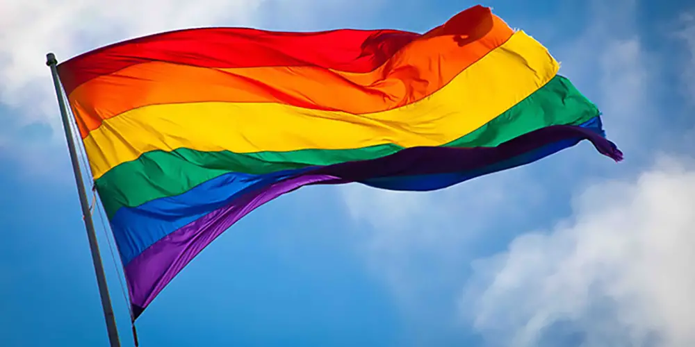 variations on the gay pride flag