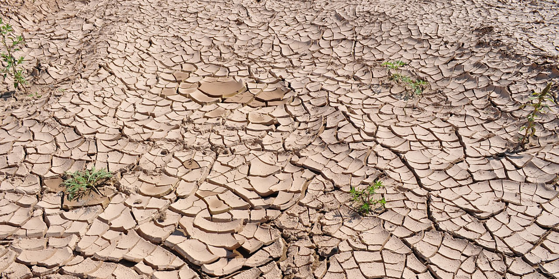 Causes And Effects Of U.S. Megadrought Explained - Profolus